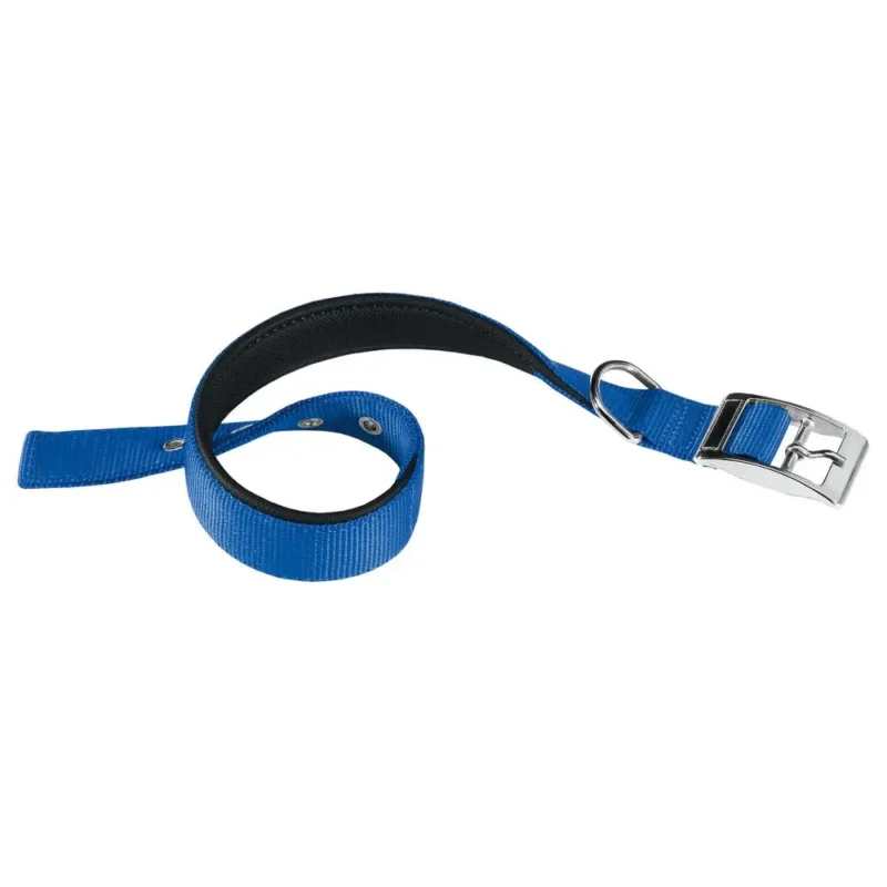 FERPLAST COLLAR DAYTONA C25 53 AZUL