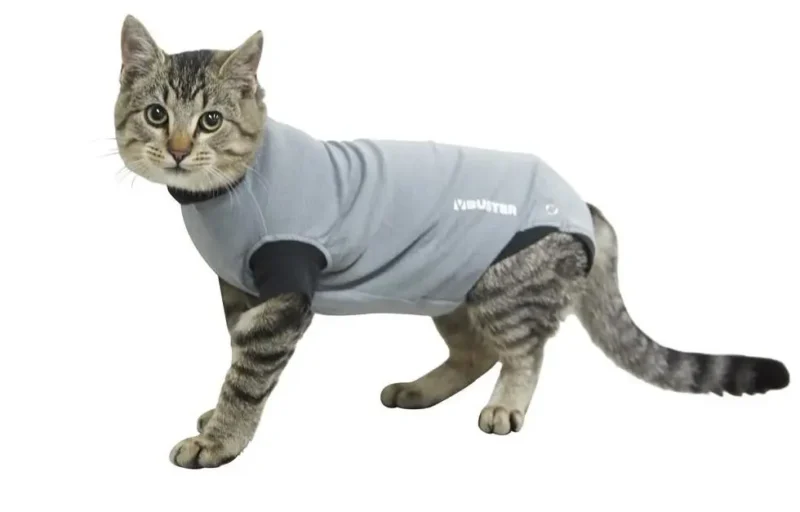 BUSTER BODY SUIT PARA GATO GRIS/NEGRO 50CM S KRUUSE