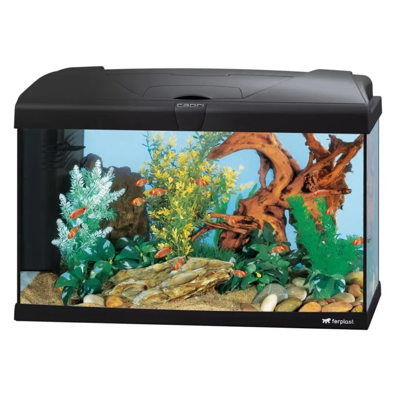 FERPLAST ACUARIO CAPRI 60 60x31,5x39,5CM 60L